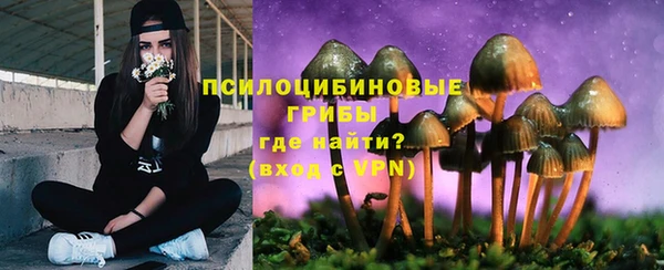 mdpv Алексин
