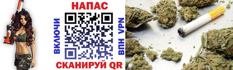 Бошки марихуана SATIVA & INDICA  как найти закладки  hydra сайт  Жирновск 